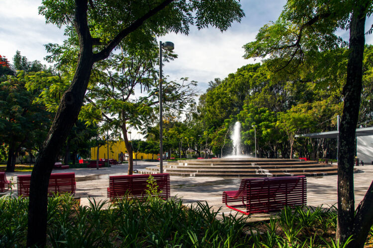 Parque El Dean