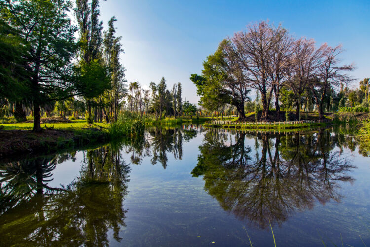 Parque Ecológico Xochimilco